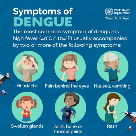 dengue clean up day sanhi at bunga|Symptoms and Treatment .